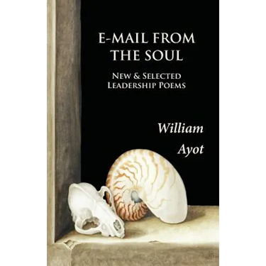 E-Mail From The Soul: New & Selected Leadership Poems