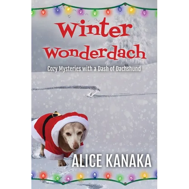 Winter Wonderdach
