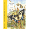 Insectopia: The Wonderful World of Insects