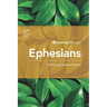 Journey Through Ephesians: 40 Biblical Insights By Robert M. Solomon