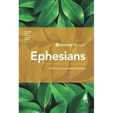 Journey Through Ephesians: 40 Biblical Insights By Robert M. Solomon