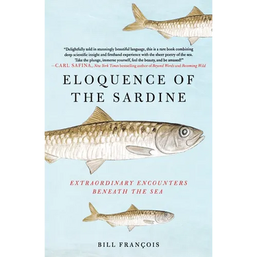 Eloquence of the Sardine: Extraordinary Encounters Beneath the Sea