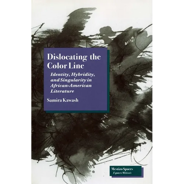 Dislocating the Color Line: Identity, Hybridity, and Singularity in African-American Narrative