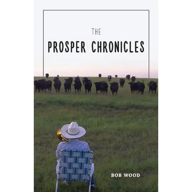 The Prosper Chronicles