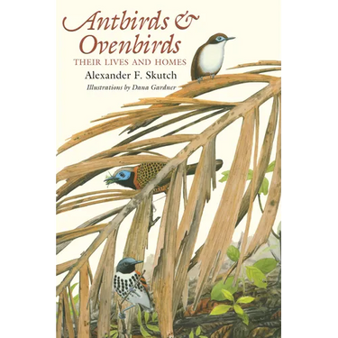 Antbirds and Ovenbirds: Their Lives and Homes
