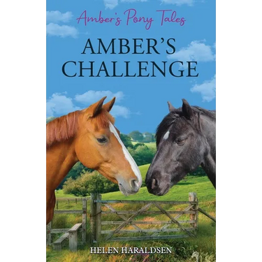 Amber's Challenge