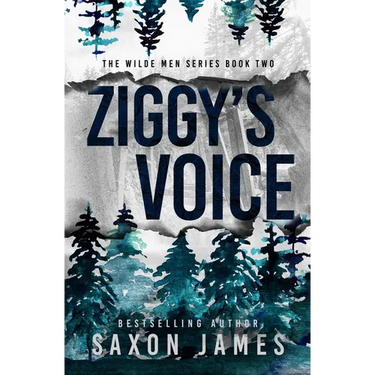 Ziggy's Voice