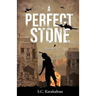 A Perfect Stone