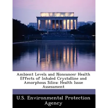 Ambient Levels and Noncancer Health Effects of Inhaled Crystalline and Amorphous Silica: Health Issue Assessment