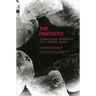Fantastic: A Structural Approach to a Literary Genre