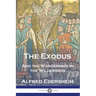 The Exodus: And the Wanderings in the Wilderness