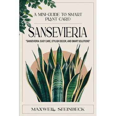 A mini-guide to smart plant care: Sansevieria