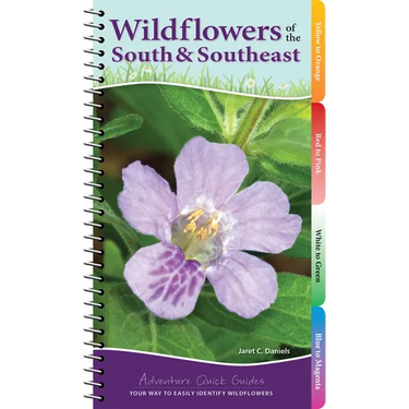 Wildflowers of the South & Southeast: Your Way to Easily Identify Wildflowers
