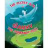 The Secret Side to Sammy the Stowaway Sock