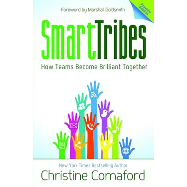 Smarttribes: How Teams Become Brilliant Together