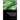 Image Denoising Using Wavelet Transforms