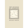 The Witness of Pebbles