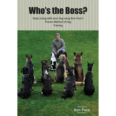 Who's the Boss?