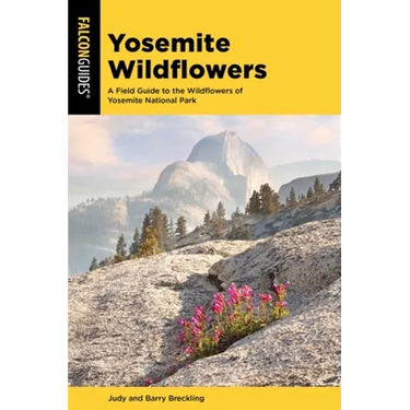 Yosemite Wildflowers