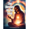 The Destiny of the Soul, Vol VI