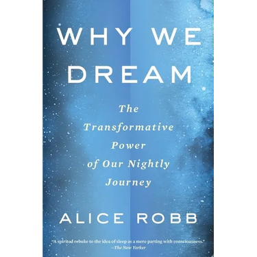Why We Dream: The Transformative Power of Our Nightly Journey
