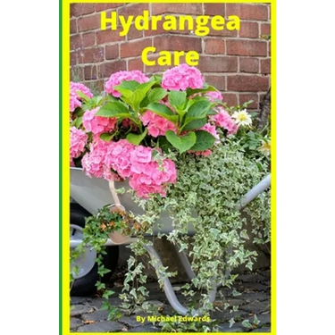Hydrangea Care: How To Care For Hydrangeas For Beginners - Easy Home Gardening