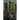 Under Twin Suns: Alternate Histories of the Yellow Sign