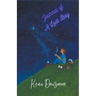 Journal Of A Lost Boy