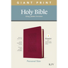 KJV Personal Size Giant Print Bible, Filament Enabled Edition (Leatherlike, Diamond Frame Cranberry)