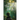 Sword of Forgotten Dreams