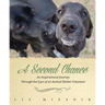A Second Chance: An Inspirational Journey through the Eyes of an Animal Shelter Volunteer