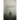 The Notch