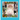 Photography for Children, A young person's guide to taking pictures.