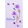 Adressbook: Tabbed in Alphabetical Order, Perfect for Keeping Track of Addresses, Email, Mobile, Work & Home Phone Numbers, Social Media & Birthdays
