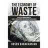 The Economy of Waste: With Collaboration with Ailin E. Babakhanian and Edward Babakhanian