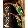Insects 2026 Calendar