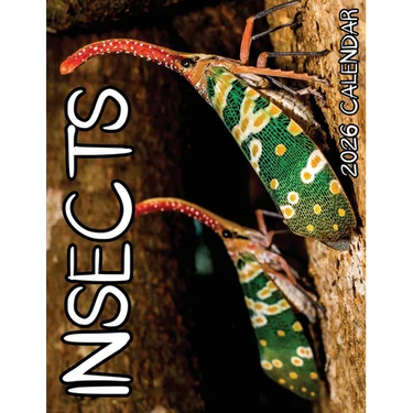 Insects 2026 Calendar