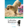 Labrador Retriever: Your Happy Healthy Pet