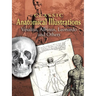 Classic Anatomical Illustrations: Vesalius, Albinus, Leonardo and Others