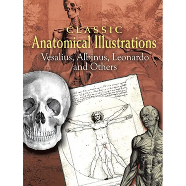 Classic Anatomical Illustrations: Vesalius, Albinus, Leonardo and Others