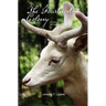 The Fourteenth Colony: A novel with music