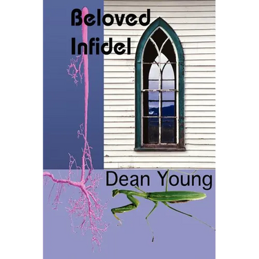 Beloved Infidel