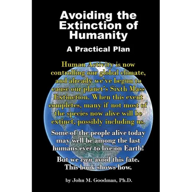 Avoiding the Extinction of Humanity: A Practical Plan