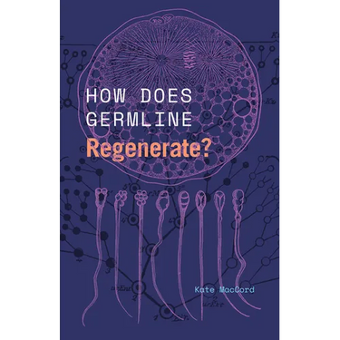How Does Germline Regenerate?