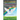 Rainbow Wings