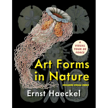 Art Forms in Nature (Dover Pictorial Archive)