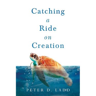 Catching a Ride on Creation