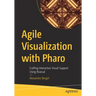 Agile Visualization with Pharo: Crafting Interactive Visual Support Using Roassal