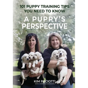 A Puppy's Perspective: 101 Puppy Training Tips You Need to Know