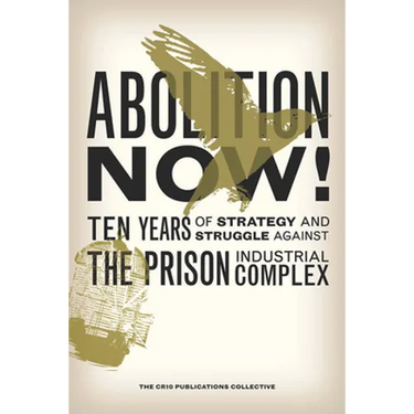 Abolition Now!: Ten Years of Strategy and Struggle Against the Prison Industrial Complex